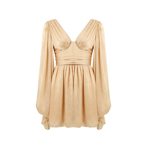 Champagne Flared sleeves dress.